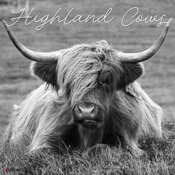 Produktbild: Highland Cows (B&w) 2026 Wall Calendar