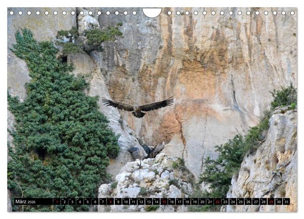 Produktbild: Spaniens wilder Norden (Wandkalender 2026 DIN A4 quer), CALVENDO Monatskalender