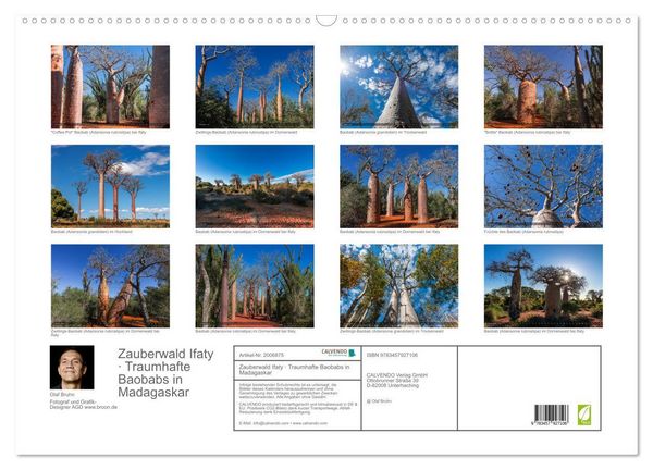 Produktbild: Zauberwald Ifaty &middot; Traumhafte Baobabs in Madagaskar (Wandkalender 2026 DIN A2 quer), CALVENDO Monatskalender