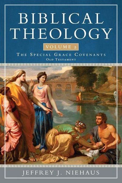 Produktbild: Biblical Theology, Volume 2