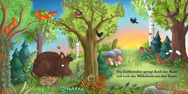 Produktbild: Es wird Tag hier im Wald