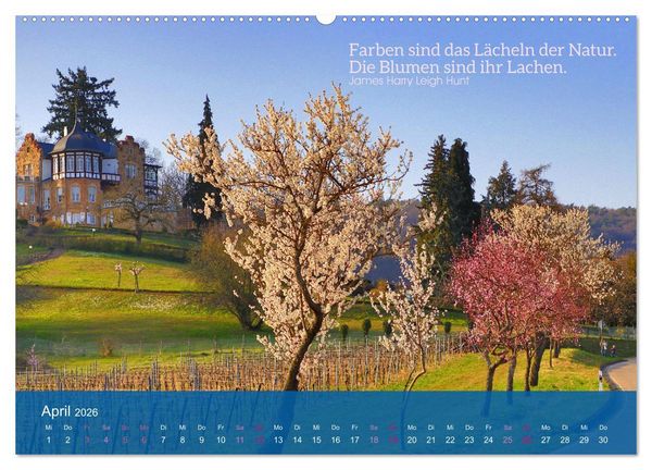 Produktbild: FASZINATION MANDELBL&Uuml;TE (hochwertiger Premium Wandkalender 2026 DIN A2 quer), Kunstdruck in Hochglanz