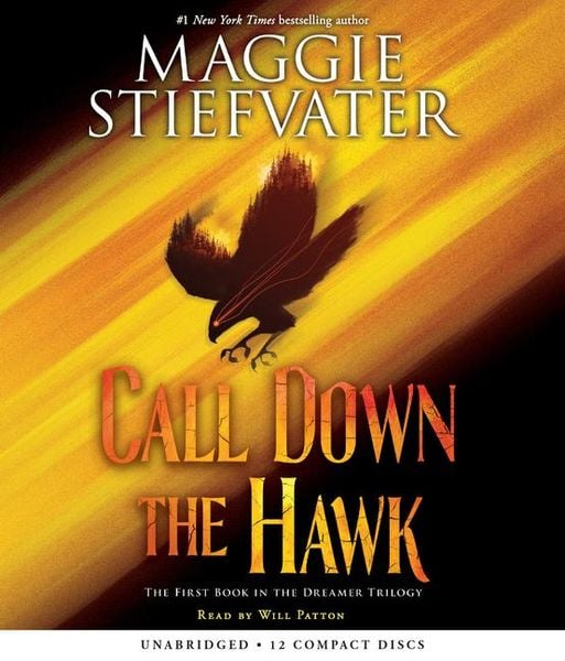 Produktbild: Call Down the Hawk (the Dreamer Trilogy, Book 1)