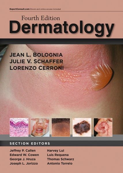 Produktbild: Dermatology E-Book
