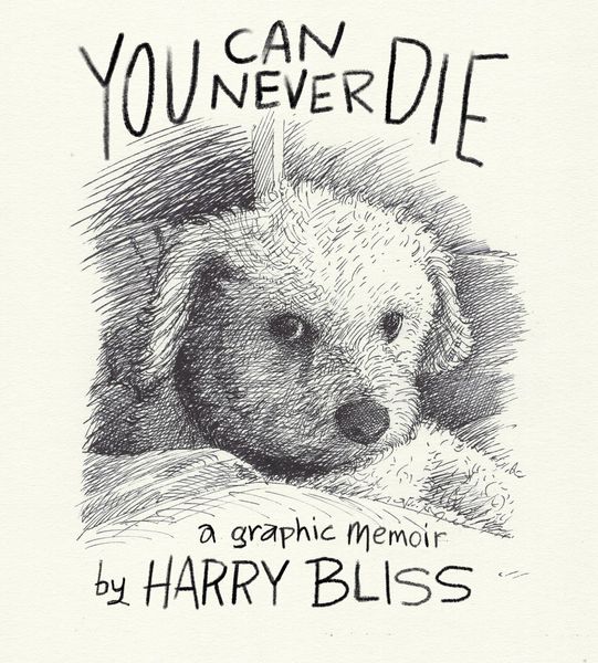 Produktbild: You Can Never Die