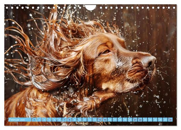 Produktbild: Hunde und Wasser (Wandkalender 2026 DIN A4 quer), CALVENDO Monatskalender