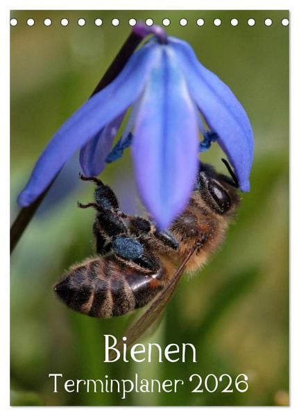 Produktbild: Bienen-Terminplaner 2026 (Tischkalender 2026 DIN A5 hoch), CALVENDO Monatskalender