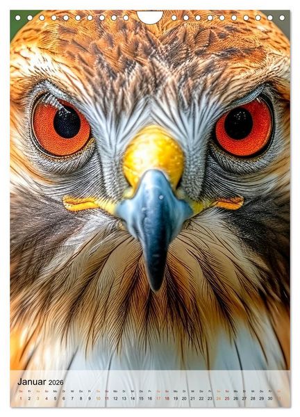 Produktbild: V&ouml;gel Portr&auml;ts (Wandkalender 2026 DIN A4 hoch), CALVENDO Monatskalender