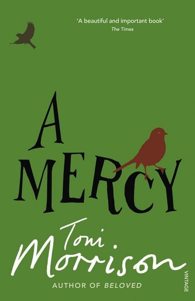 Produktbild: A Mercy