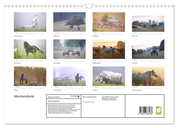 Produktbild: M&auml;rchenpferde (Wandkalender 2026 DIN A3 quer), CALVENDO Monatskalender