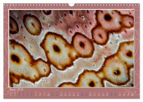 Produktbild: Unterwasser Kunstwerke (Wandkalender 2026 DIN A3 quer), CALVENDO Monatskalender