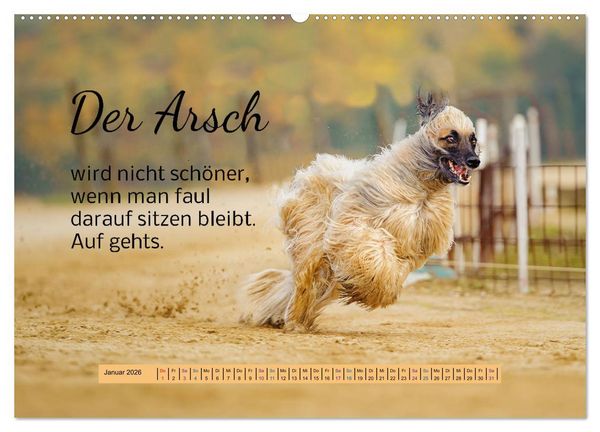 Produktbild: Der Spruchkalender - freiheraus und witzig (Wandkalender 2026 DIN A2 quer), CALVENDO Monatskalender