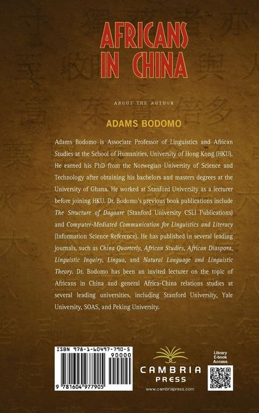 Produktbild: Africans in China