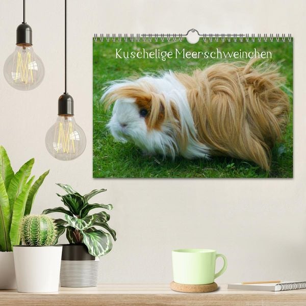 Produktbild: Kuschelige Meerschweinchen (Wandkalender 2026 DIN A4 quer), CALVENDO Monatskalender