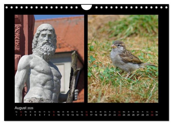 Produktbild: Ulmer Spatzen (Wandkalender 2026 DIN A4 quer), CALVENDO Monatskalender
