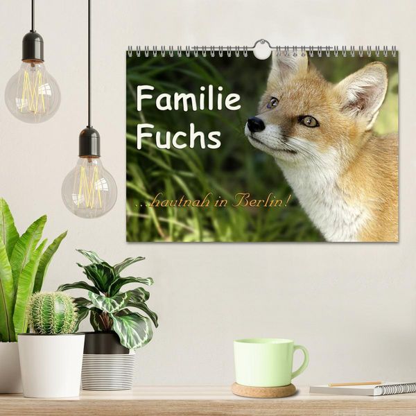Produktbild: Familie Fuchs hautnah in Berlin (Wandkalender 2026 DIN A4 quer), CALVENDO Monatskalender