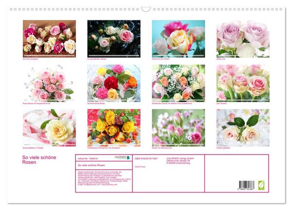 Produktbild: So viele sch&ouml;ne Rosen (Wandkalender 2026 DIN A2 quer), CALVENDO Monatskalender