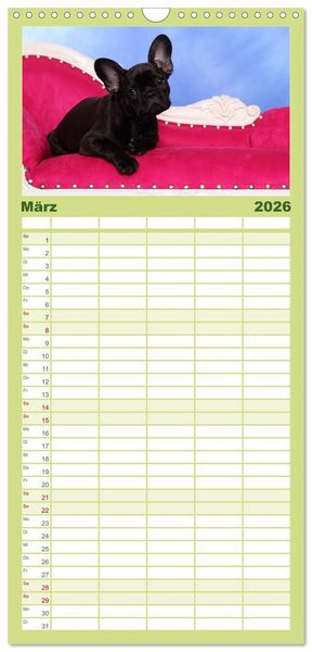 Produktbild: Familienplaner 2026 - Der Bully - Kalender Familienplaner hoch mit 5 Spalten (Wandkalender, 21 x 45 cm) CALVENDO