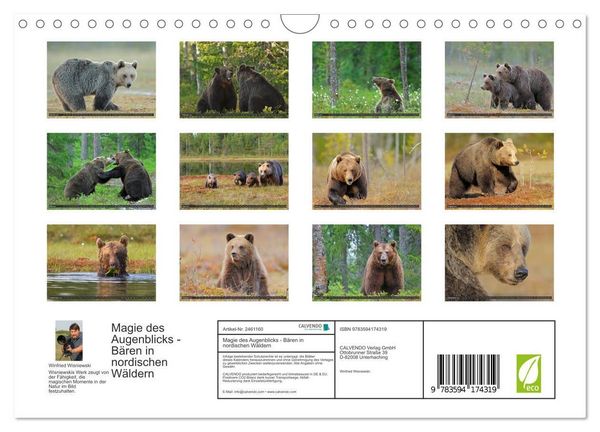 Produktbild: Magie des Augenblicks - B&auml;ren in nordischen W&auml;ldern (Wandkalender 2027 DIN A4 quer), CALVENDO Monatskalender