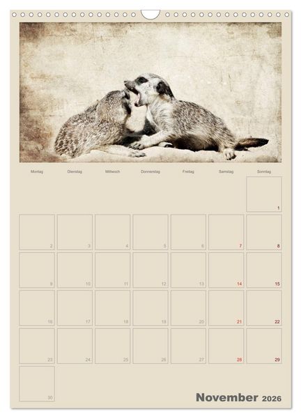 Produktbild: Lustige Erdm&auml;nnchen (Wandkalender 2026 DIN A3 hoch), CALVENDO Monatskalender