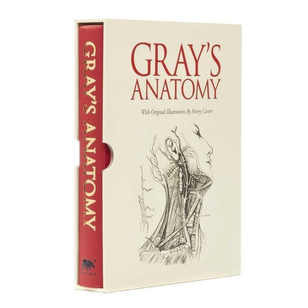 Produktbild: Gray''s Anatomy