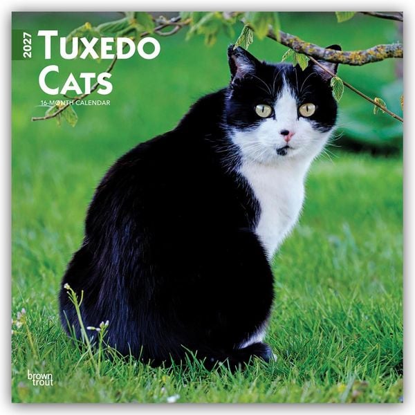 Produktbild: Tuxedo Cats &ndash; Tuxedo Katzen 2027 &ndash; 16-Monatskalender