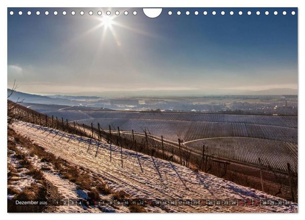 Produktbild: Weinlagen in Franken (Wandkalender 2026 DIN A4 quer), CALVENDO Monatskalender
