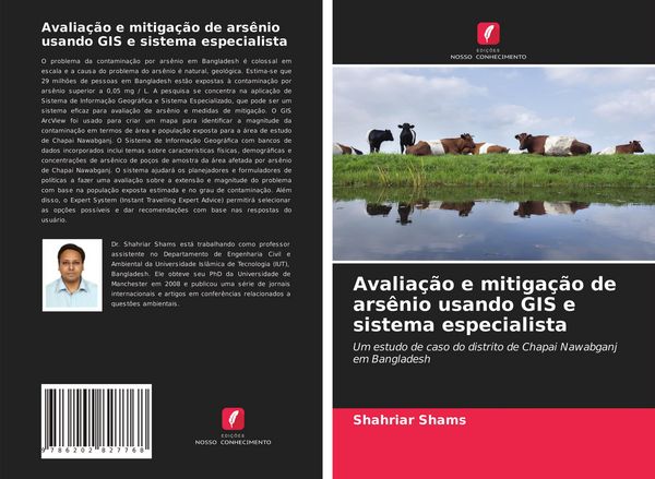 Produktbild: Avalia&ccedil;&atilde;o e mitiga&ccedil;&atilde;o de ars&ecirc;nio usando GIS e sistema especialista
