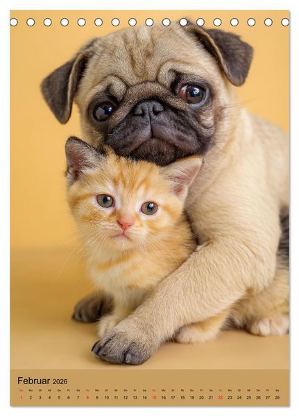 Produktbild: Freundschaftskalender - Katzen und Hunde, beste Freunde in Umarmung (Tischkalender 2026 DIN A5 hoch), CALVENDO Monatskalender