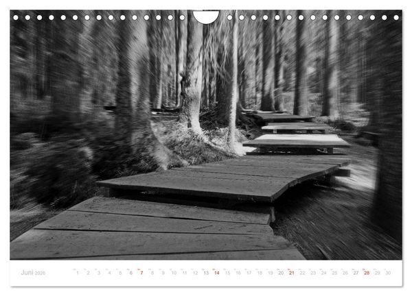Produktbild: Mystischer Schwarzwald (Wandkalender 2026 DIN A4 quer), CALVENDO Monatskalender