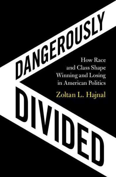 Produktbild: Dangerously Divided