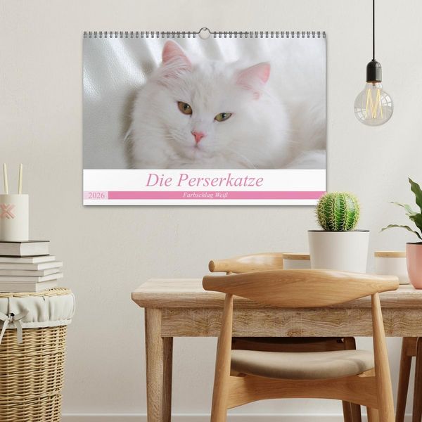Produktbild: Die Perserkatze - Farbschlag Wei&szlig; (Wandkalender 2026 DIN A3 quer), CALVENDO Monatskalender