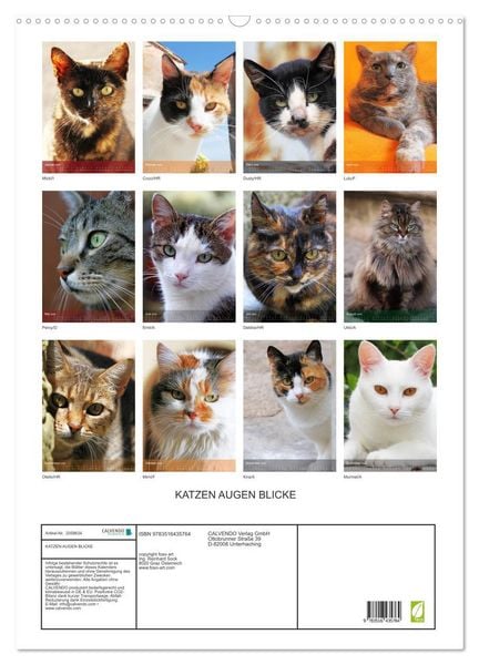 Produktbild: KATZEN AUGEN BLICKE (Wandkalender 2026 DIN A2 hoch), CALVENDO Monatskalender