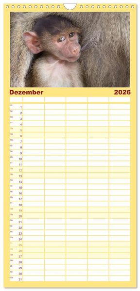 Produktbild: Familienplaner 2026 - Wildes Kinderzimmer - Tierkinder in Afrika mit 5 Spalten (Wandkalender, 21 x 45 cm) CALVENDO