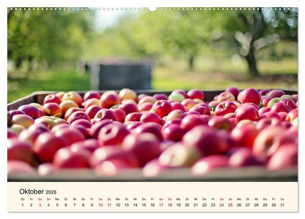 Produktbild: Die Jahreszeiten. Magie des Wandels (Wandkalender 2026 DIN A2 quer), CALVENDO Monatskalender