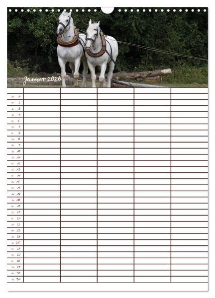 Produktbild: Der Kaltblut-Familienplaner (Wandkalender 2026 DIN A3 hoch), CALVENDO Monatskalender