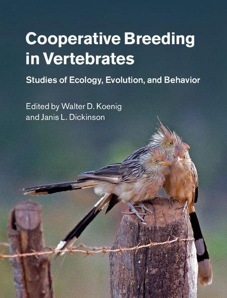 Produktbild: Cooperative Breeding in Vertebrates