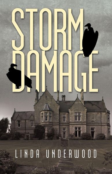 Produktbild: Storm Damage