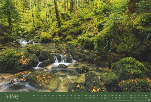 Produktbild: Zauberw&auml;lder Edition Kalender 2027
