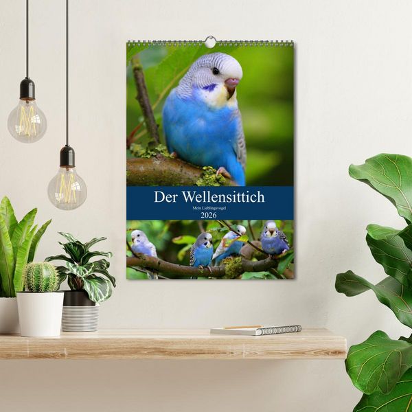 Produktbild: Der Wellensittich - Mein Lieblingsvogel (Wandkalender 2026 DIN A3 hoch), CALVENDO Monatskalender
