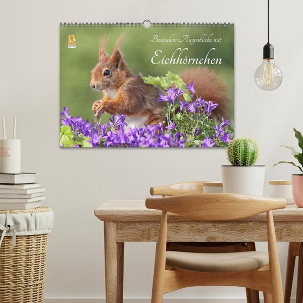 Produktbild: Besondere Augenblicke mit Eichh&ouml;rnchen (Wandkalender 2026 DIN A3 quer), CALVENDO Monatskalender
