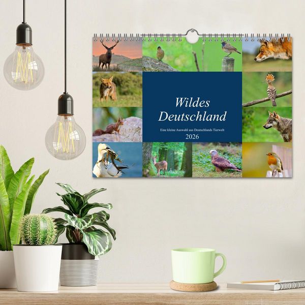 Produktbild: Wildes Deutschland (Wandkalender 2026 DIN A4 quer), CALVENDO Monatskalender