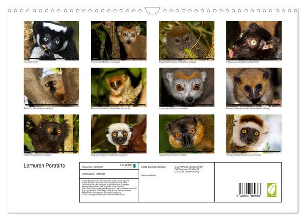 Produktbild: Lemuren Portraits (Wandkalender 2026 DIN A3 quer), CALVENDO Monatskalender