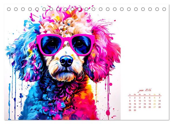 Produktbild: Show canin (Calendrier de bureau 2026 DIN A5 vertical), CALVENDO calendrier mensuel