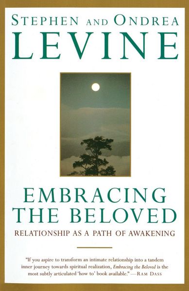 Produktbild: Embracing the Beloved