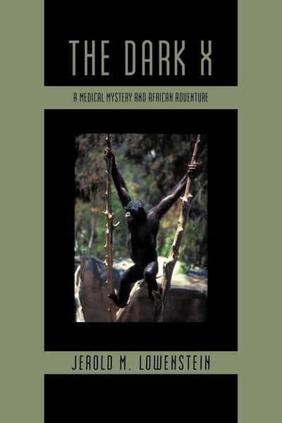 Produktbild: The Dark X