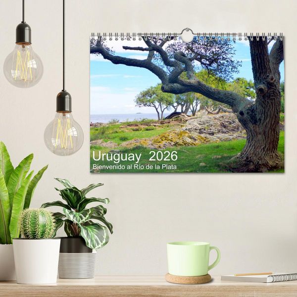 Produktbild: Uruguay - Bienvenido al R&iacute;o de la Plata (Wandkalender 2026 DIN A4 quer), CALVENDO Monatskalender