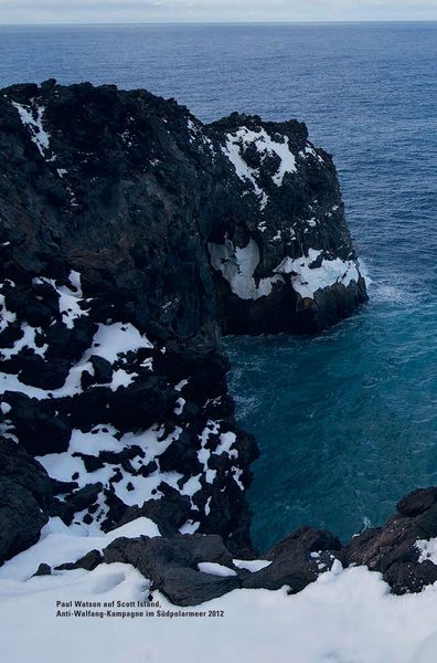 Produktbild: Captain Paul Watson Interview