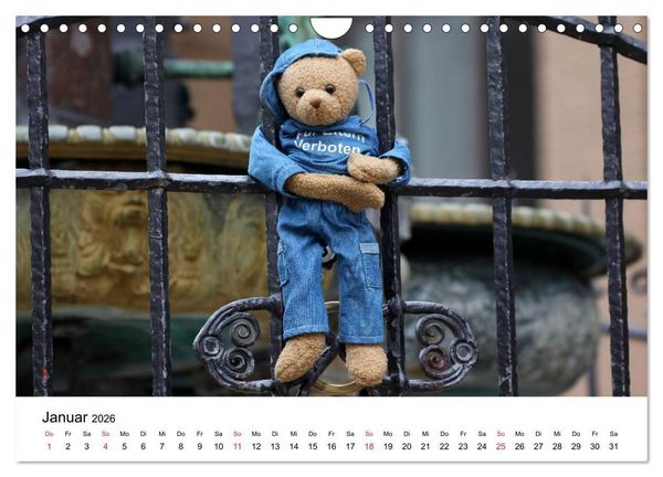 Produktbild: Teddys...jeder liebt sie (Wandkalender 2026 DIN A4 quer), CALVENDO Monatskalender