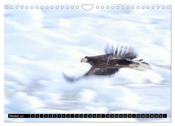 Produktbild: Japanische Vogelwelt im Winter (Wandkalender 2027 DIN A4 quer), CALVENDO Monatskalender
